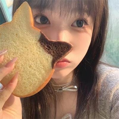 吐崽子封面
