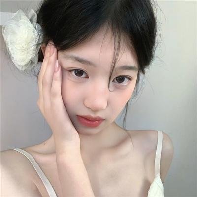 三只狼封面