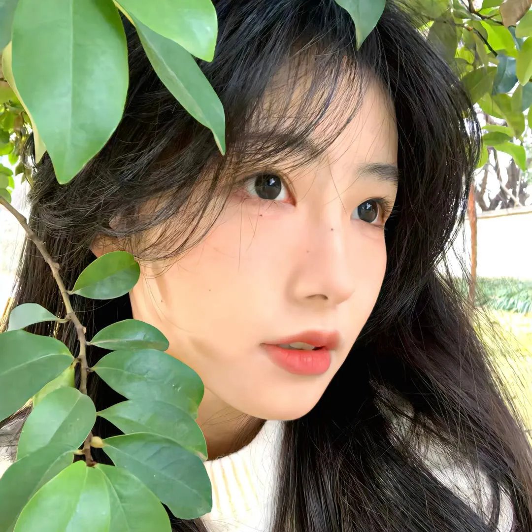 求求你，表扬我封面